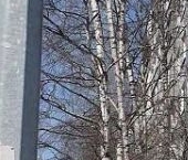 Продать Квартиры вторичка проспект Луначарского, 76   