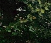 Продать Квартиры вторичка пос. Парголово, улица Первого Мая, 79   