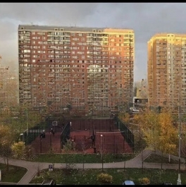 Продажа 2-комн квартиры на вторичном рынке Некрасовка п,  д. 18 к2
