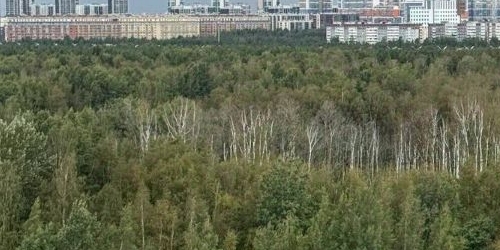 2-комн квартира Камышовая улица, 48К3