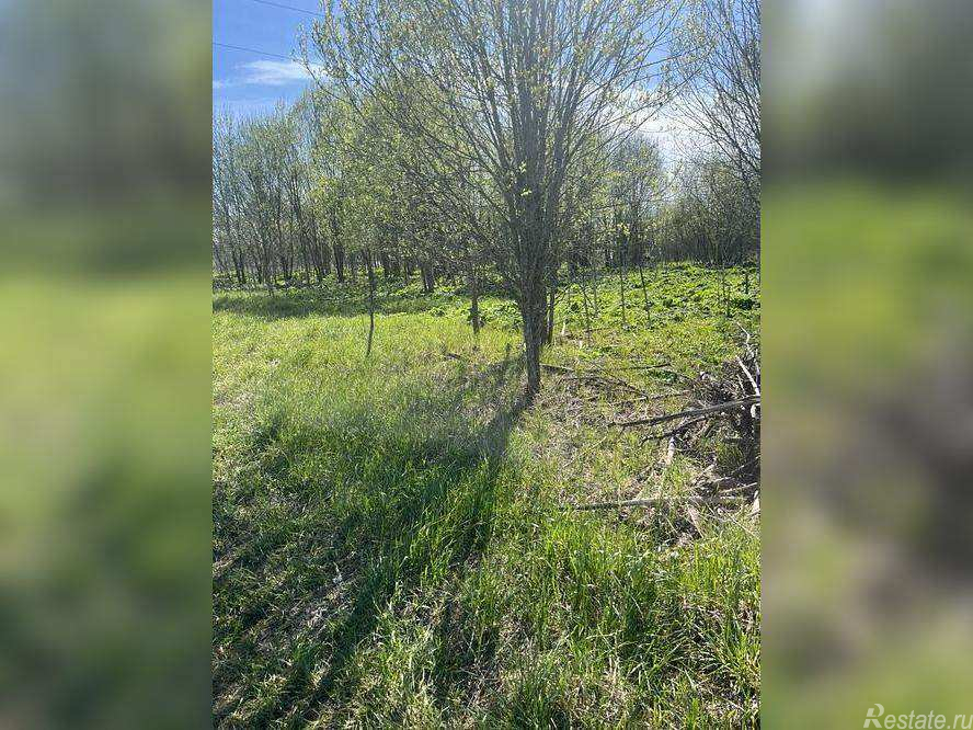 Продажа земли деревня Большая Вруда