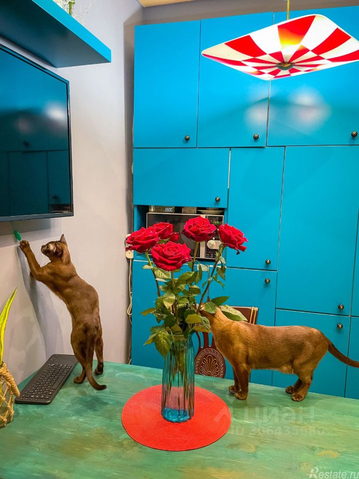 Аренда дома Новосаратовка, 41К-078,  д. 166/2