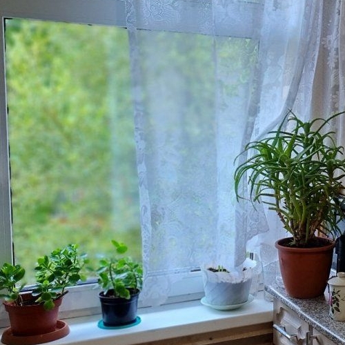 1-комн квартира Вырица городской поселок, улица Румянцева, 6