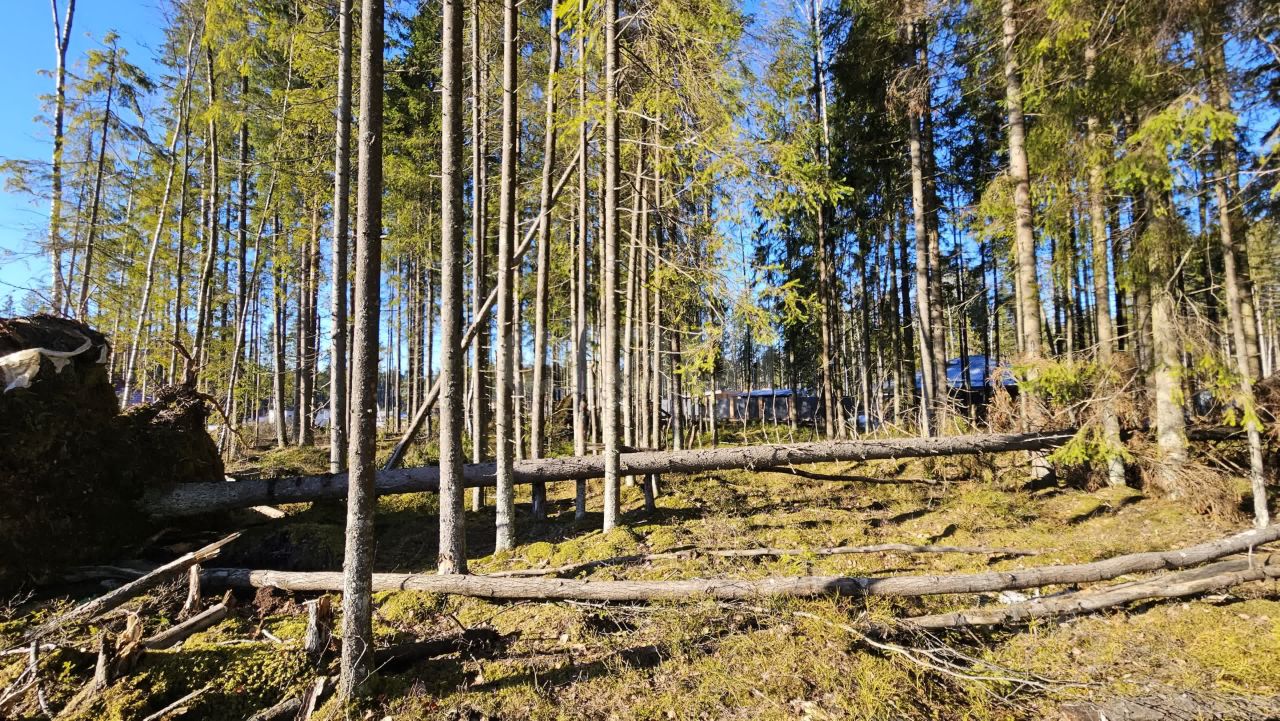 Продажа земли Сертолово, Медное Озеро-3 СНТ