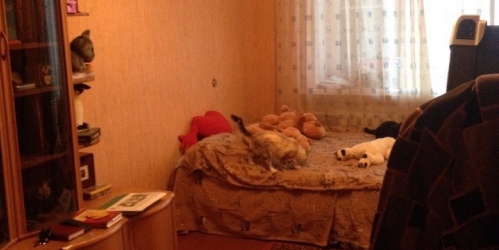 1-комн квартира Химки г, Мичурина ул ,  д. 8