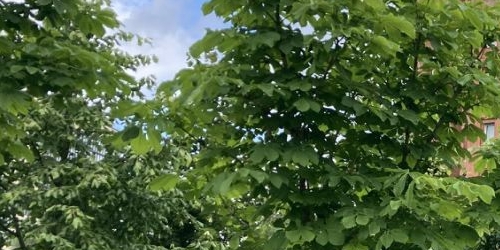 2-комн квартира улица Репищева, 7