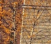 Продать Комнаты в квартирах проспект Металлистов, 38   