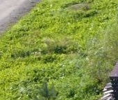 Продать Дачи, коттеджи, загородные дома Вантаа Вилладж кп, улица Композитора Римского-Корсакова  18 