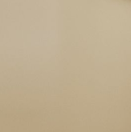 Продажа студии Каменноостровский проспект, 19/13 Продажа студии Каменноостровский проспект, 19/13