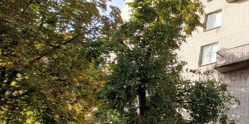 1-комн квартира улица Пограничника Гарькавого, 34К1