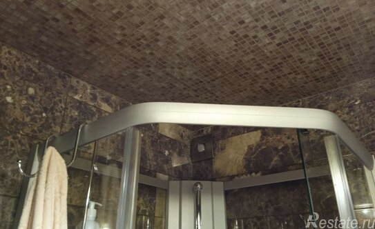 Аренда 1-комн квартиры на вторичном рынке улица Константинова,  д. 1