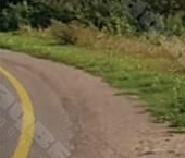 Продать Земельные участки, земля д. Никитилово, улица Молодежная, 222   