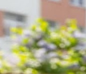 Продать Квартиры вторичка Туристская улица, 23к1   