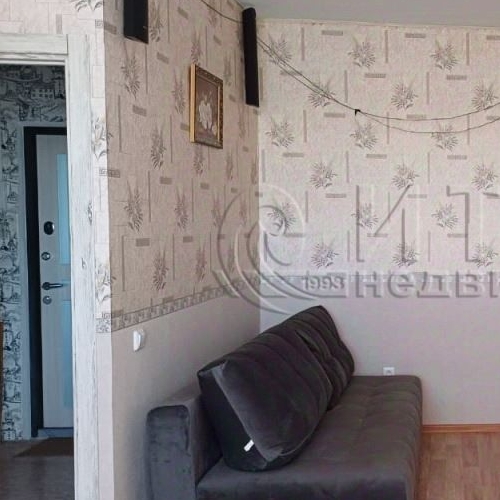 1-комн квартира д. Новое Девяткино, улица Арсенальная, 1