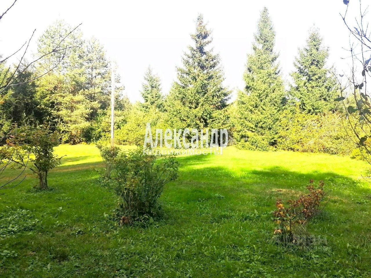 Продажа дома Крутая Гора садоводческий массив, Электрон СНТ, аллея 3-я, 52