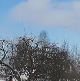 Продажа дома Новинка садоводческий массив, Парус СНТ, 1-я линия