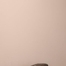 Аренда 1-комн квартиры на вторичном рынке Всеволожск, улица Дружбы, 4к3