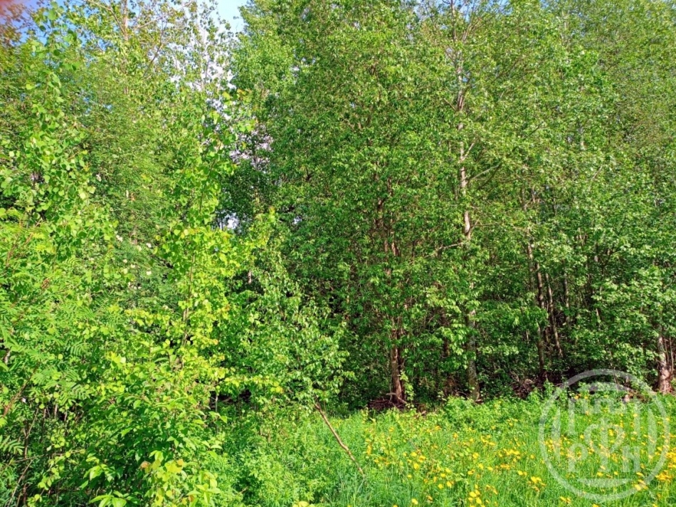 Продажа земли Коробицыно пос.