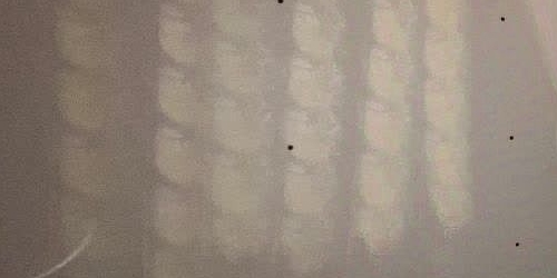 1-комн квартира пос. Лисий Нос, Ивановская улица, 10