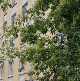 Продажа 1-комн квартиры на вторичном рынке Варшавская ул,  д. 41,  к. 1