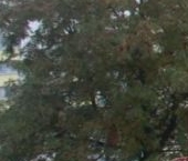 Продать Квартиры вторичка пос. Романовка, 7   