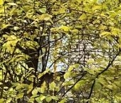 Продать Квартиры вторичка Щелково-3 мкр  5 