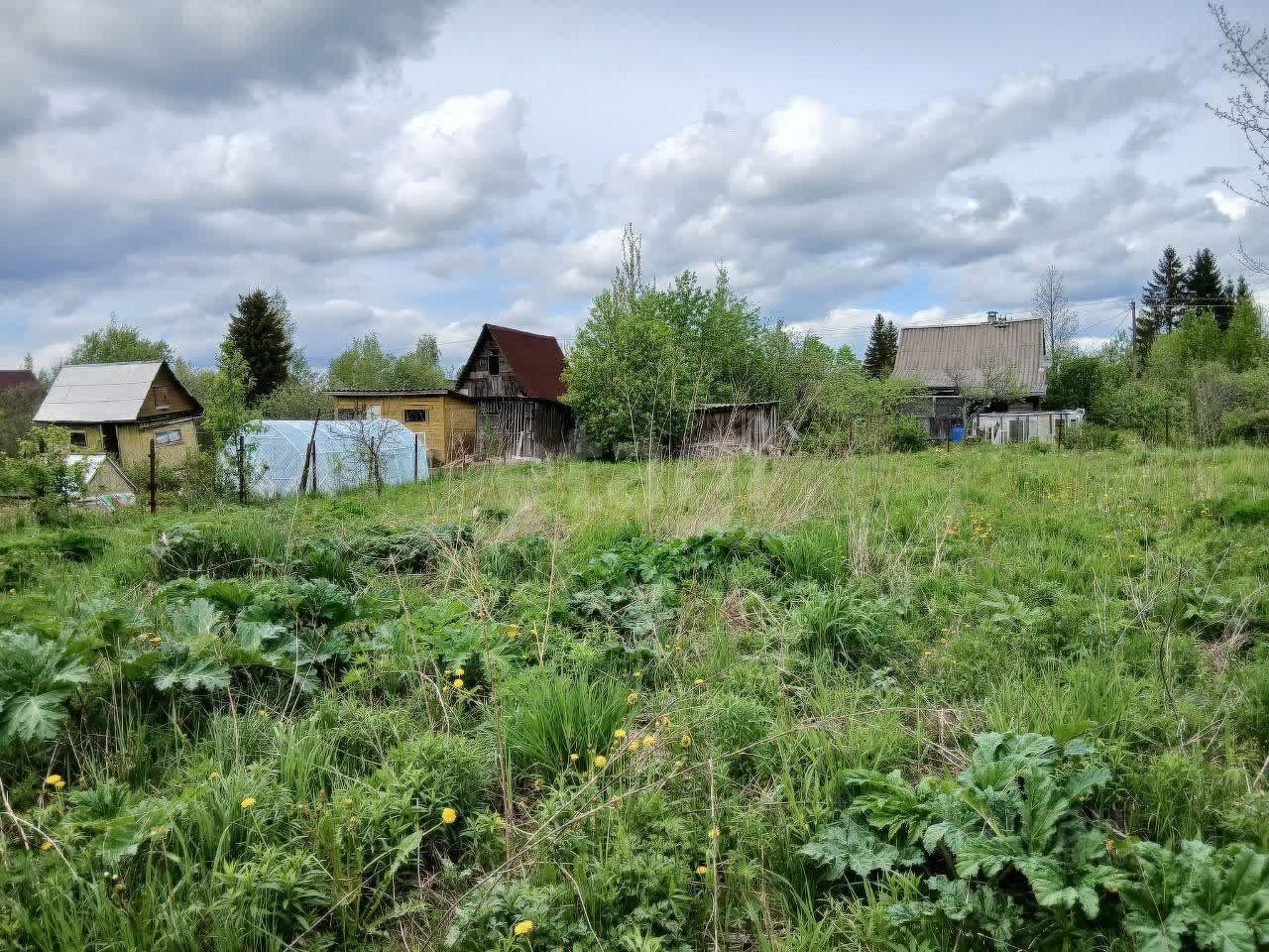 Продажа земли Пупышево садоводческий массив, Волхов СНТ, 1-я линия,  д. 10