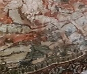 Продать Квартиры вторичка Ленинский проспект, 118   