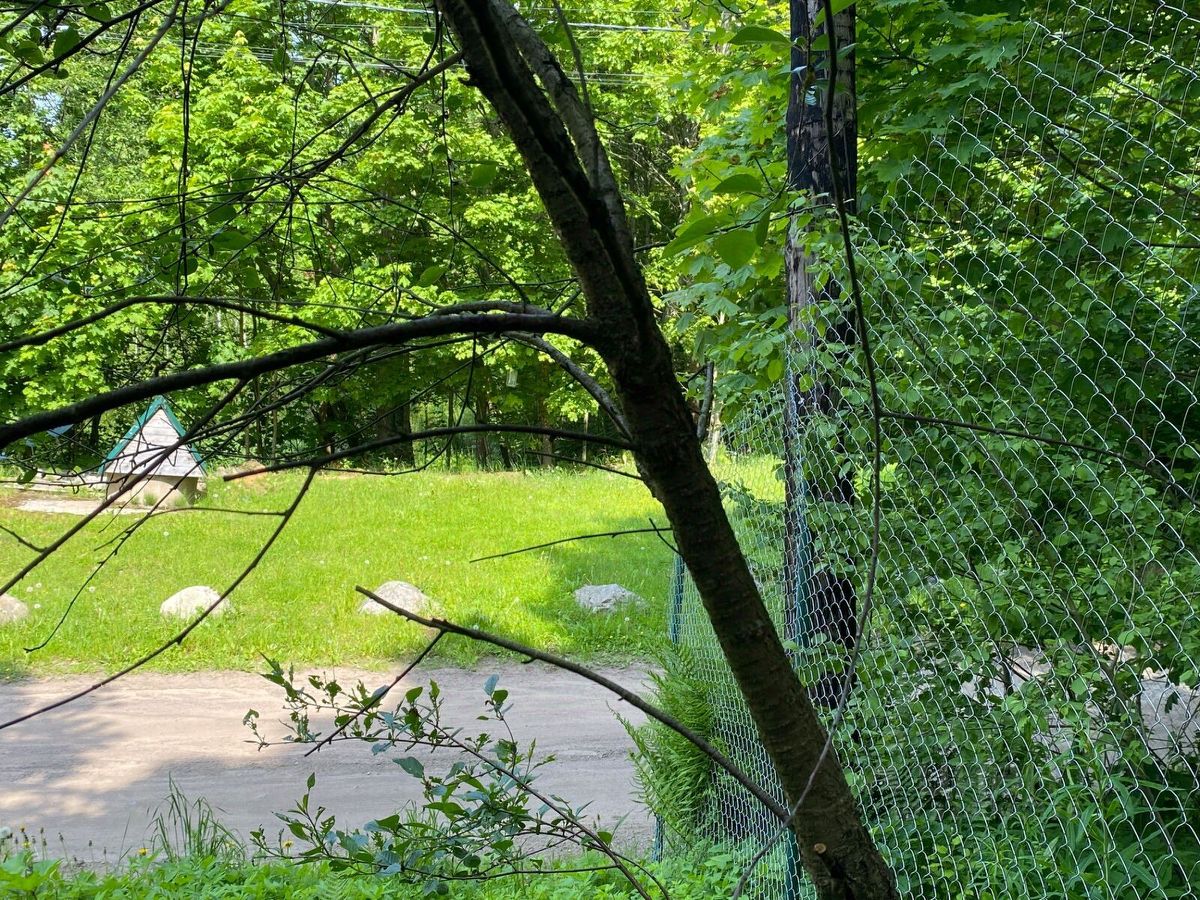 Продажа земли Токсово городской поселок, улица Советская