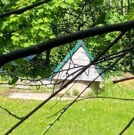 Продажа земли Токсово городской поселок, улица Советская