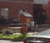 Продать Квартиры вторичка Речной мкр, д. Малые Колпаны, 4   