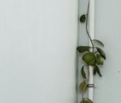 Продать Квартиры вторичка Тосно г., улица Блинникова, 6   