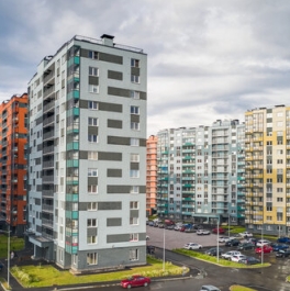 Продажа 1-комн квартиры на вторичном рынке Пискаревский пр-кт,  д. 165 к1