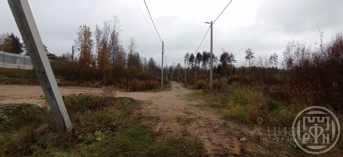 Продажа земли Полесье ДНП, улица Березовая