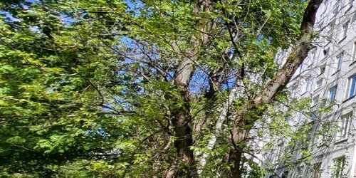 Комната Болотниковская улица, 42К3