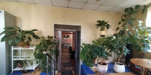 Торговое помещение Бродников переулок,  д. 7