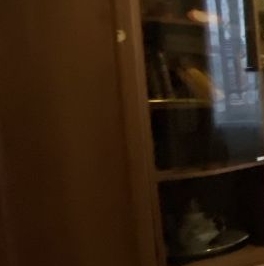 Аренда 1-комн квартиры на вторичном рынке пос. Шушары, проспект Новгородский, 10 Аренда 1-комн квартиры на вторичном рынке пос. Шушары, проспект Новгородский, 10