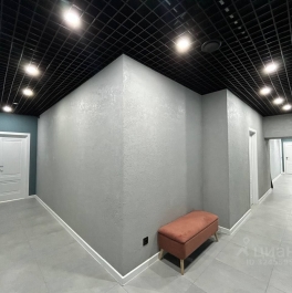 Аренда ПСН Староконюшенный пер,  д. 32