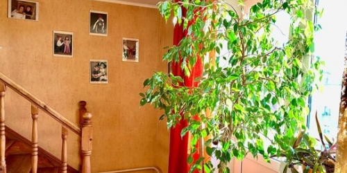 3-комн квартира Пушкин г, Генерала Хазова ул,  д. 13