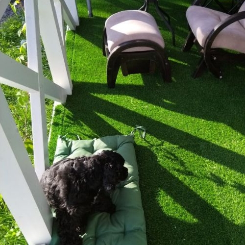 Коттедж/дом Мшинская садоводческий массив, Мшинское СНТ