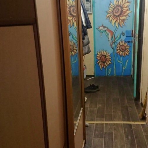 5-комн квартира улица Танкиста Хрустицкого, 19к2