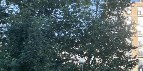 3-комн квартира Лиговский проспект, 263