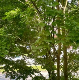 Продажа 3-комн квартиры на вторичном рынке ул Вербная,  д. 17,  к. 1