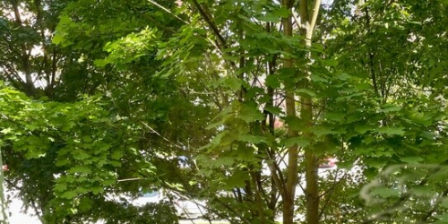 3-комн квартира ул Вербная,  д. 17,  к. 1