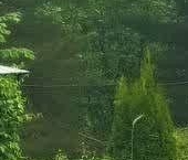 Продать Дачи, коттеджи, загородные дома Кириши, площадь Ленина   