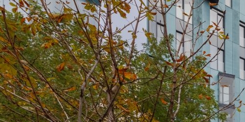 5-комн квартира улица Ефремова, 10с1к4/7