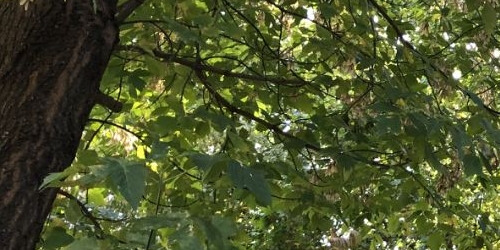 2-комн квартира 2-й Саратовский проезд, 8