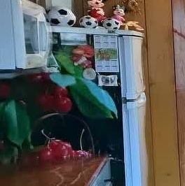 Продажа дома д. Кизлярское, 8