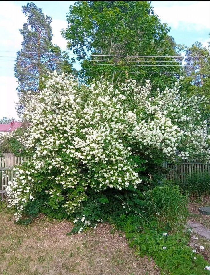 Продажа дома Луга, проспект Кирова, 133