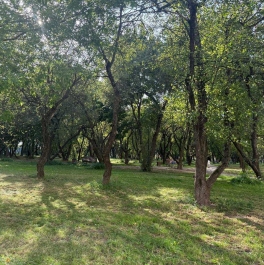 Продажа 2-комн квартиры на вторичном рынке Аминьевское шоссе, д. 4, к. Д2 Продажа 2-комн квартиры на вторичном рынке Аминьевское шоссе, д. 4, к. Д2